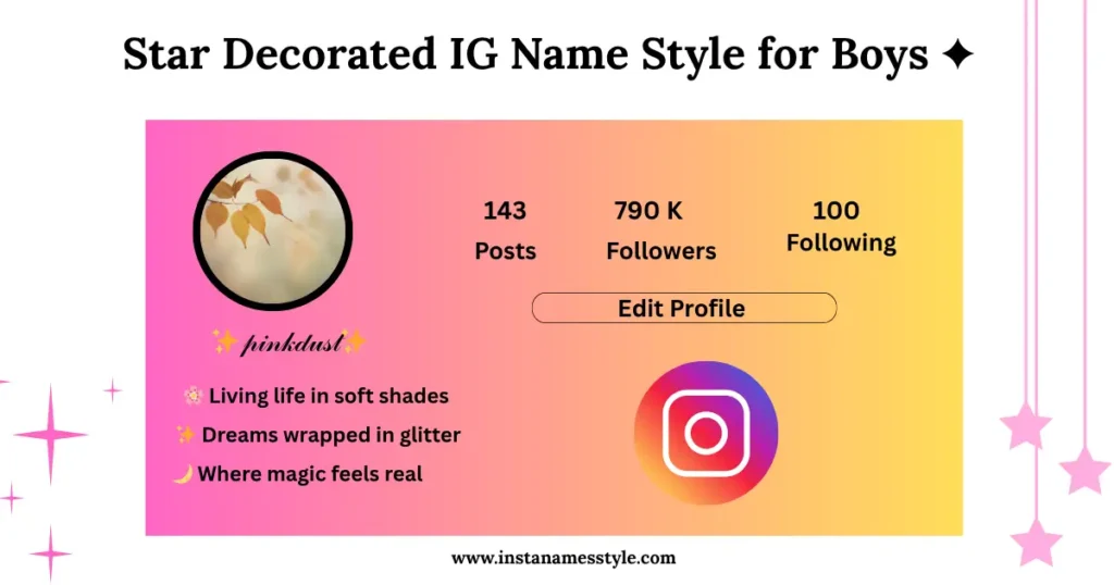 🌟 200+ Best Star Decorated Instagram Name Styles to Copy 1 Example of a modern Instagram profile using star and sparkle symbols for names and bios